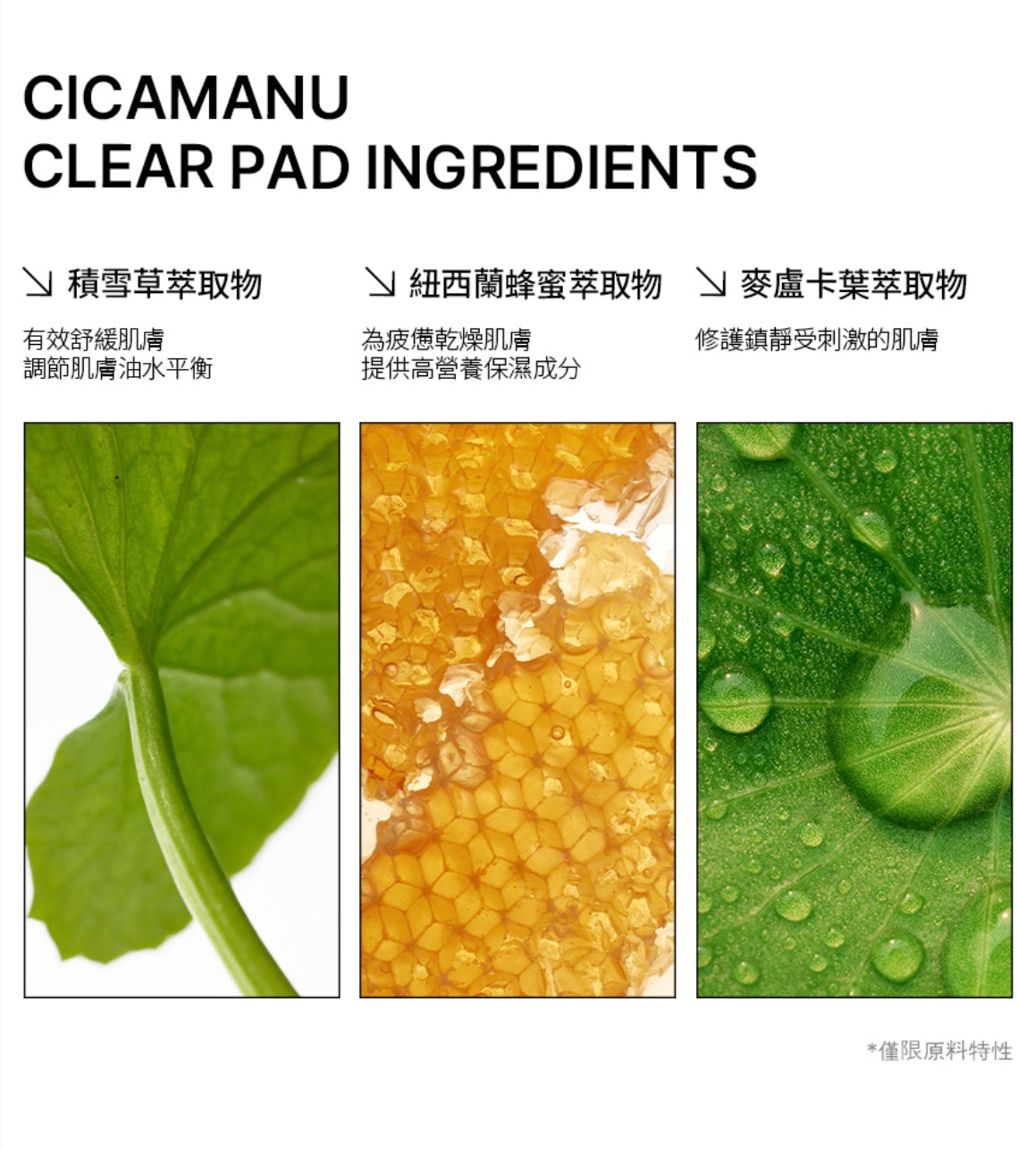 Liz推薦❤️🔥Parnell 積雪草精粹去角質清潔棉片| Parnell CicaManu Clear Pad🌿