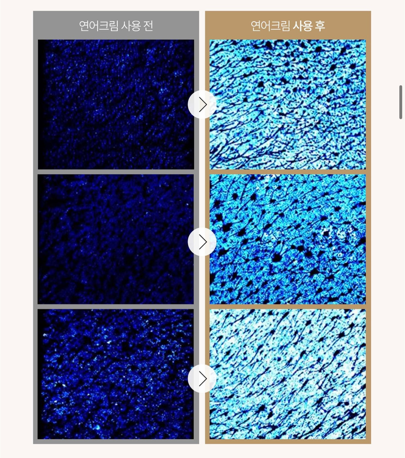 送精華13ml+泡泡瓶 ✨來自深海的修復力量💫 三文魚積雪草舒緩爽膚水🐠| Heveblue PDRN SALMON CARING CENTELLA TONER