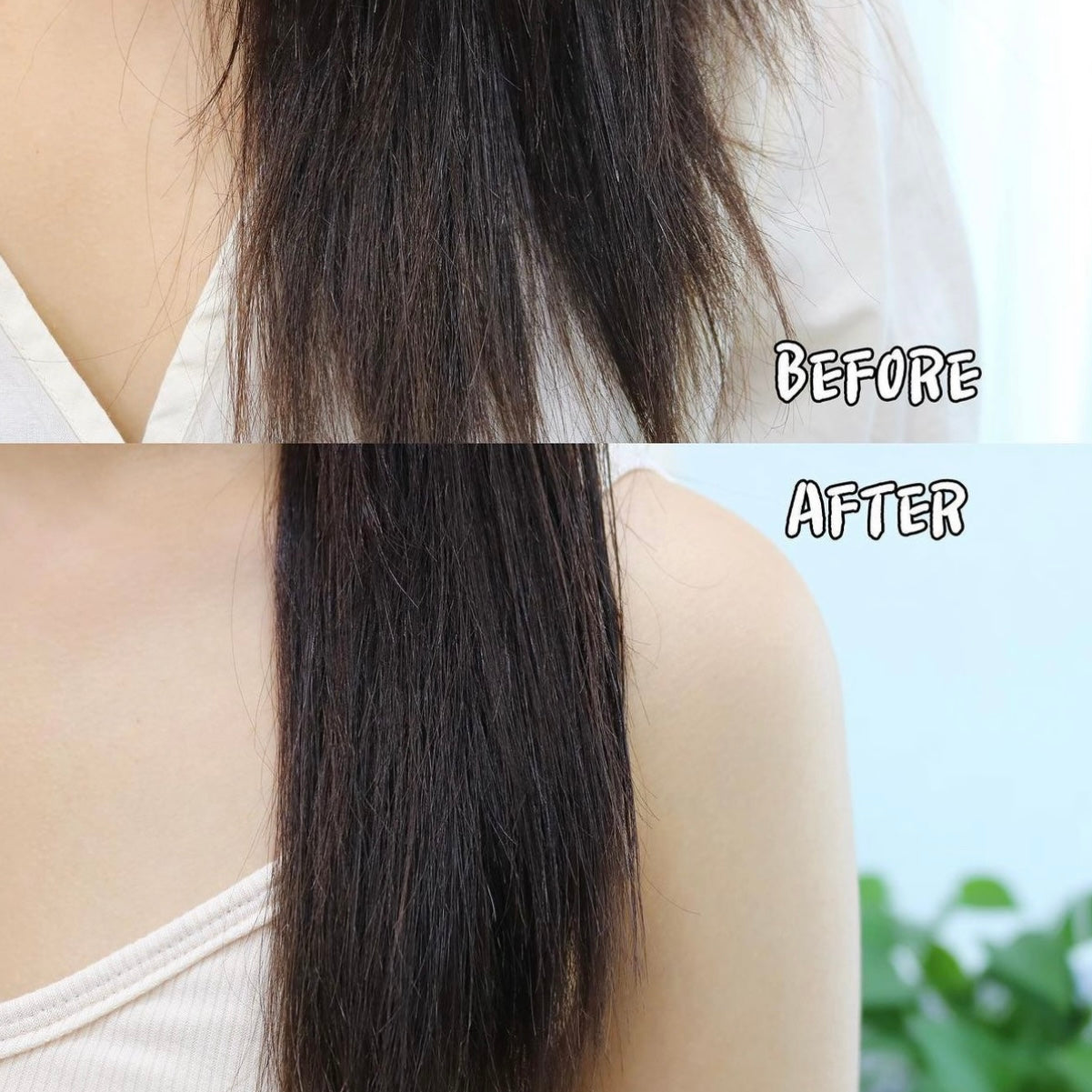 送頭皮筋胳梳+送髮膜+固體香水❤️🔥Longtake 木質檀香強化護髮油 Sandalwood Intensive Hair Oil 🪵