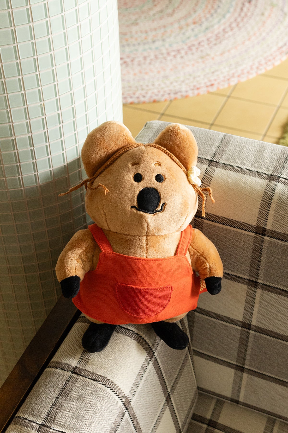 DINOTAENG 다이노탱 쿼카 inSchool黛西毛絨公仔🧸