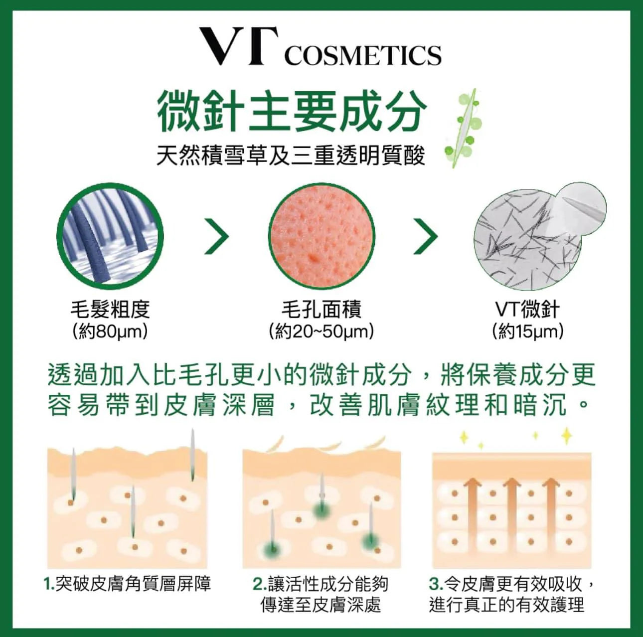回復緊緻彈潤🎀| VT 膠原蛋白塗抹式微針精華100/300/700 針 |VT Collagen Reedle Shot 100/300/700