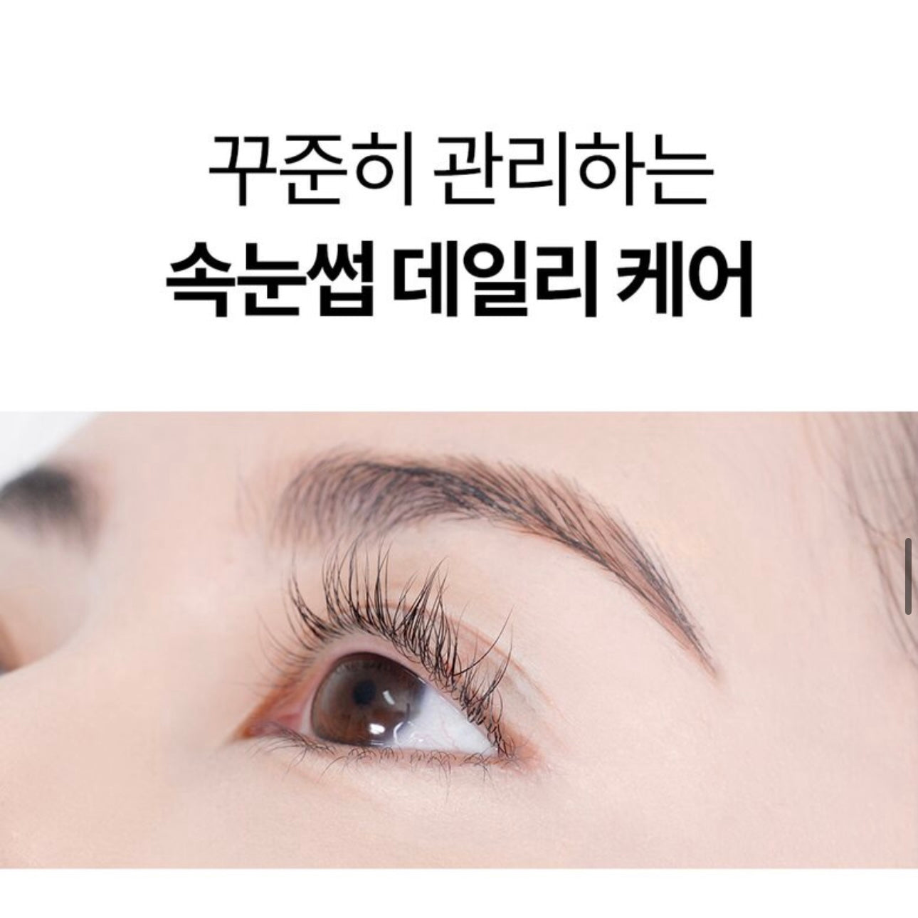 眼部滾珠精華✨Cosnori 纖長濃密睫毛生長精華套裝💫