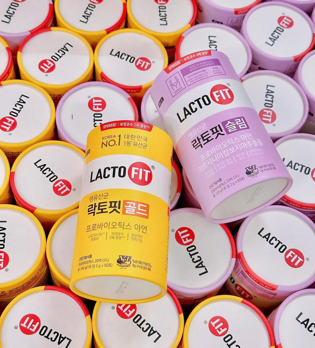 Lacto-fit 全系列益生菌⭐️韓國國民益生菌✨