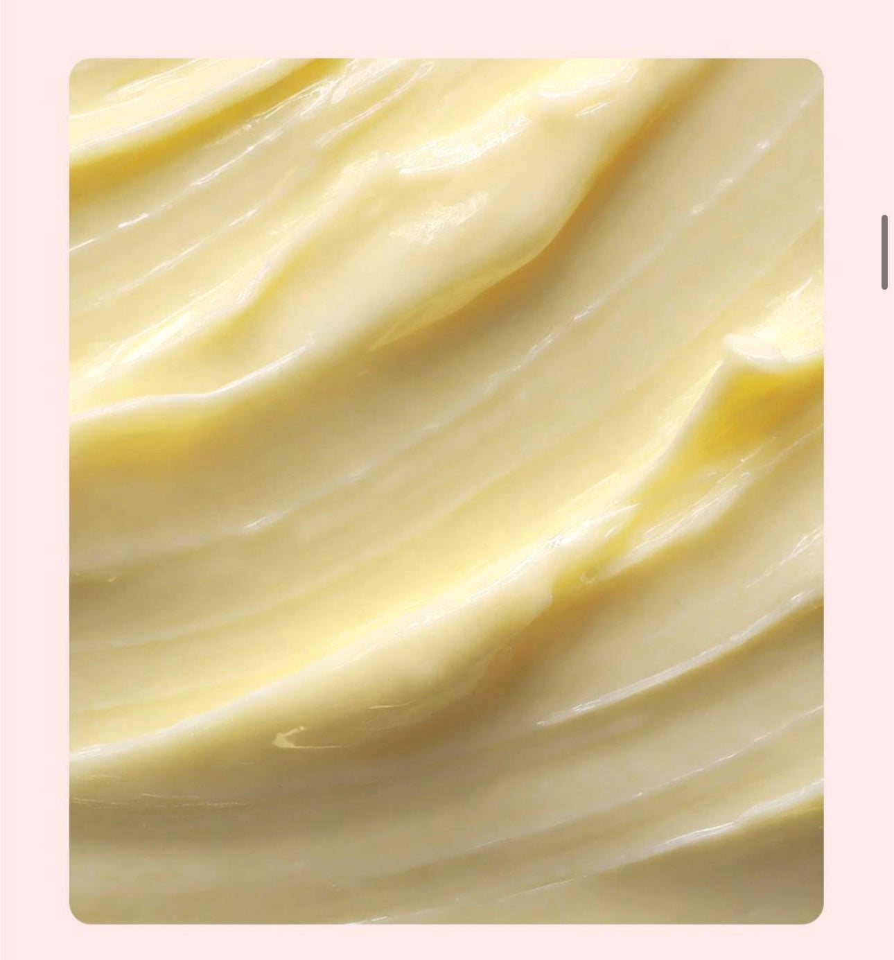 送miffy收納包 🎀MoremoHair x Miffy 毛躁告別高濃縮特殊損傷修護精華護髮膜套裝2X🐰🌸