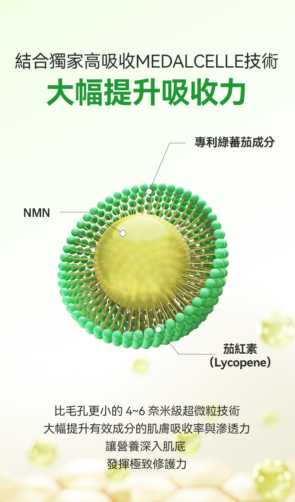 高濃度 NMN 配方💫| Sungboon Editor 綠蕃茄NMN立體塑顏毛孔精華🌿🍅升級版✨