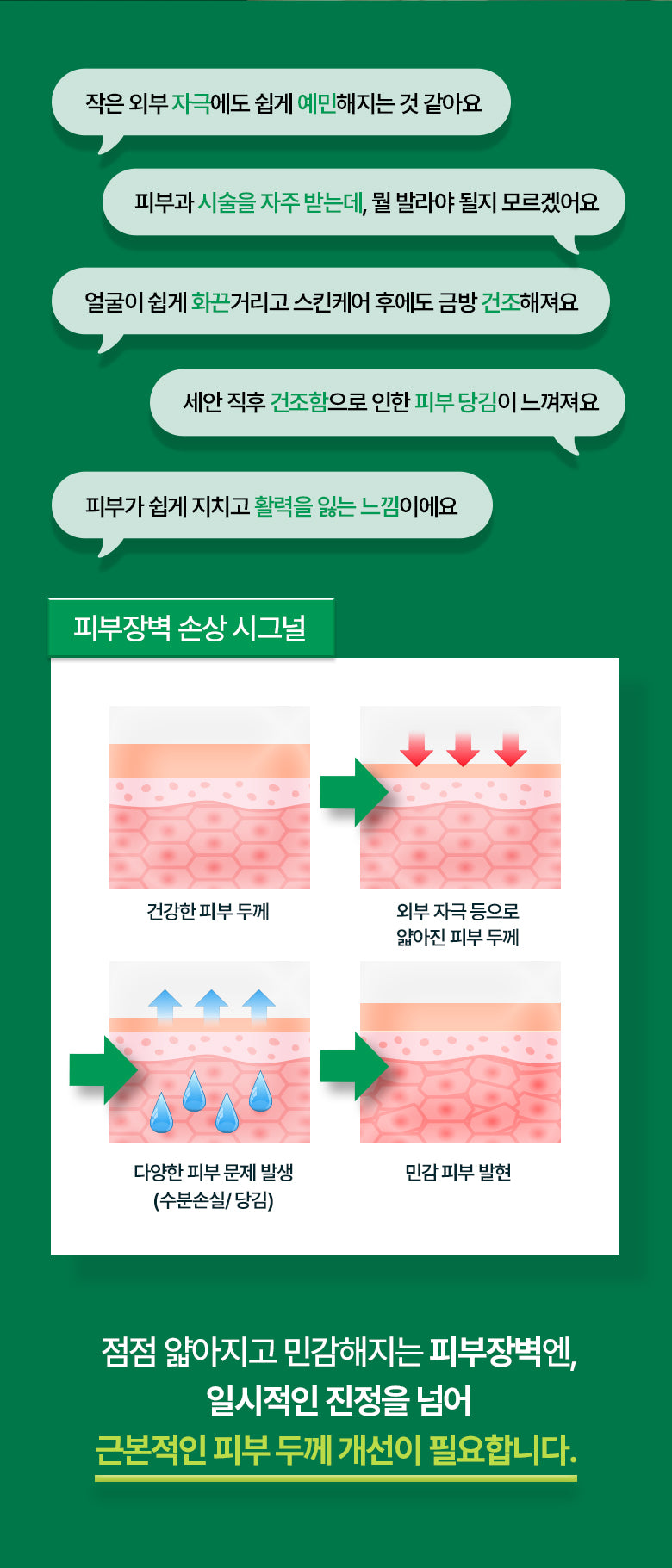 BOH 修復積雪草泛醇急救精華噴霧🌿| Bio heal PANTHECELL Repair Cica Ampoule Mist