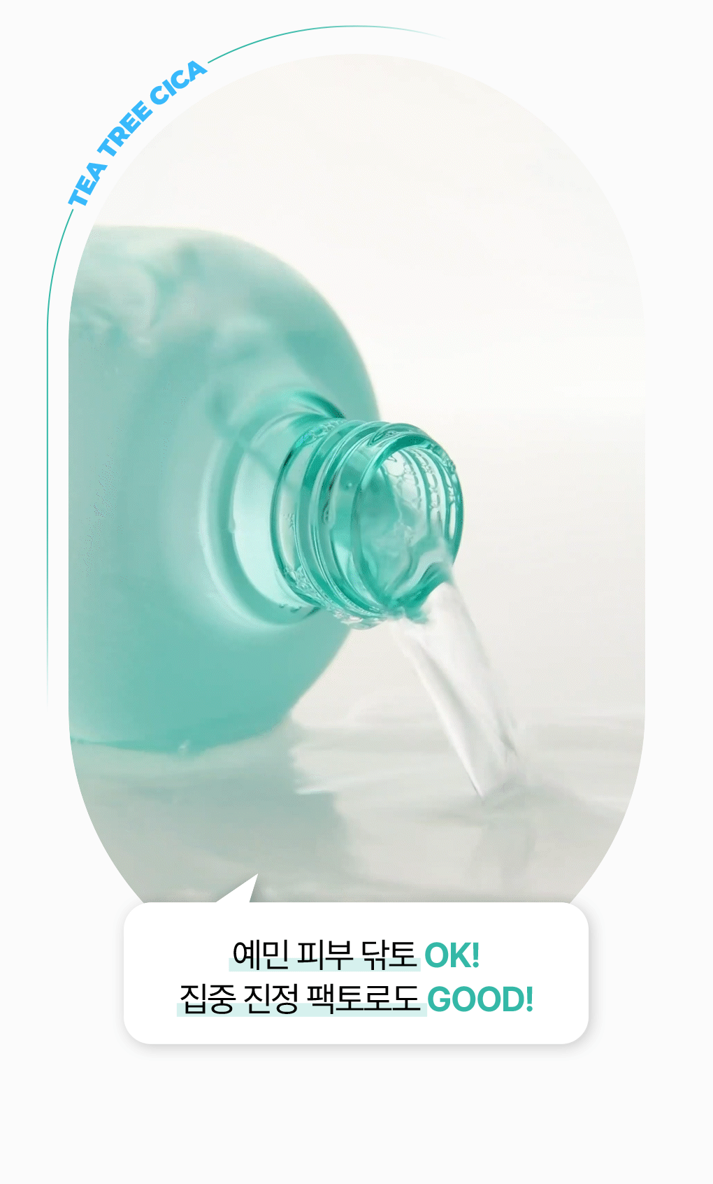 韓國 Bring Green Tea Tree CICA Soothing Toner 茶樹積雪草舒緩爽膚水 超大容量🌿