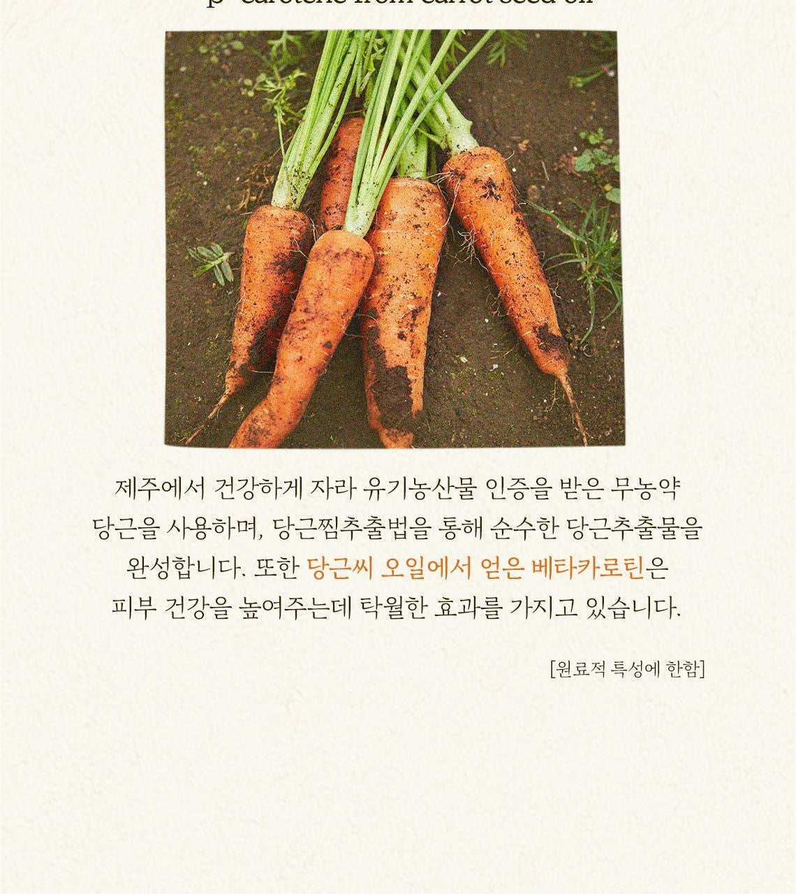 SKINFOOD 胡蘿蔔素舒緩保濕精華🥕SKINFOOD Carrot Carotene Moist Effector