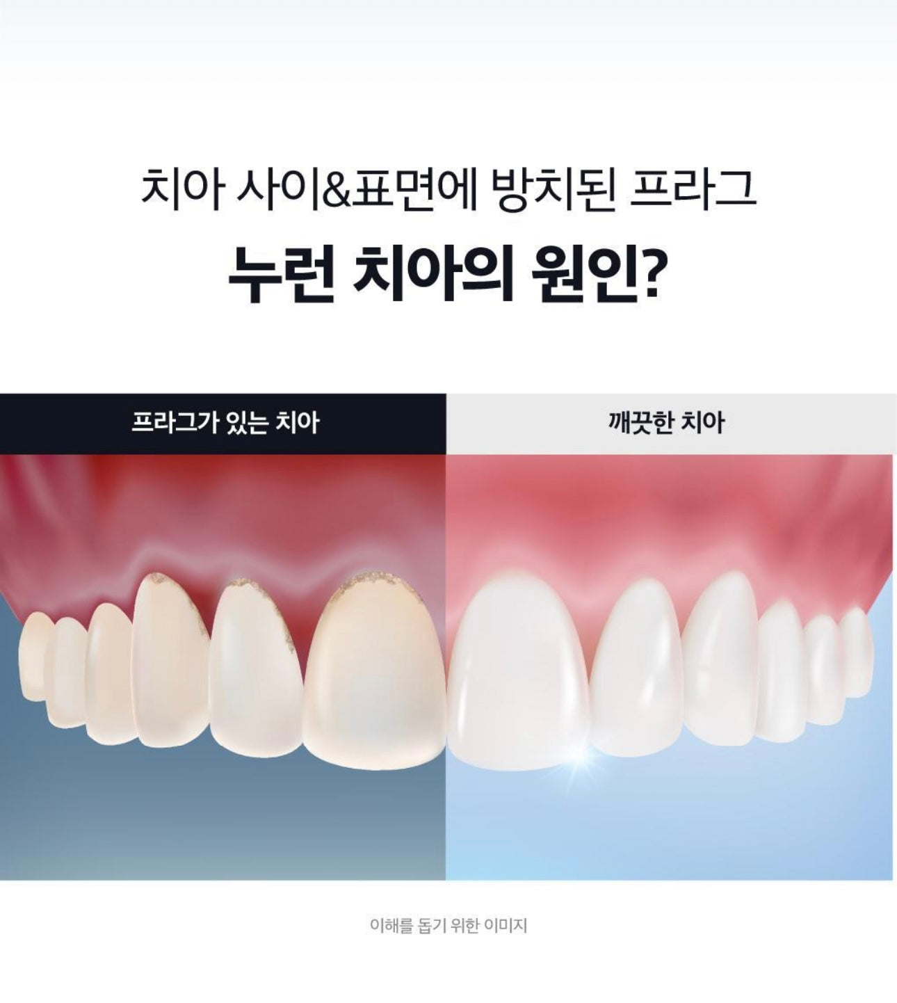 送可愛Dinotaeng牙刷掛架✨Rucipello x Dinotaeng美白清透牙刷 2支裝🪥| 牙齒美白神器🔥