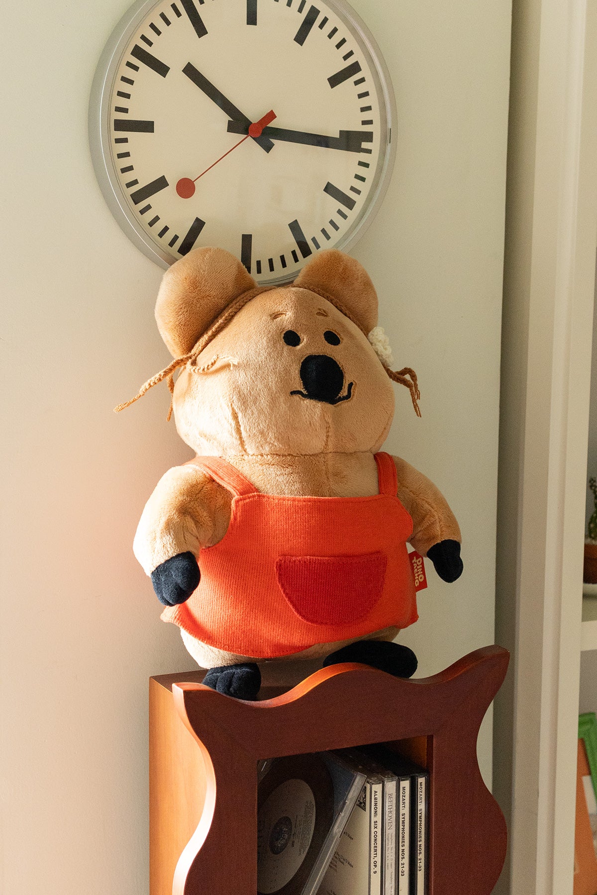 DINOTAENG 다이노탱 쿼카 inSchool黛西毛絨公仔🧸