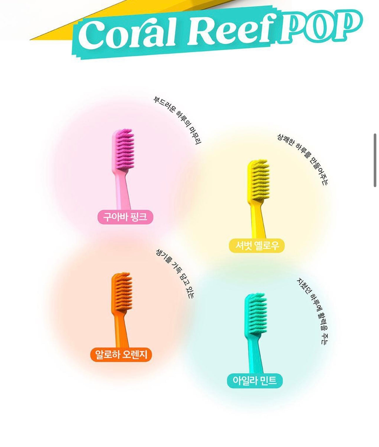 送Quokka小袋🤎 | Recipello x Dinotaeng特別版珊瑚礁牙刷🦷