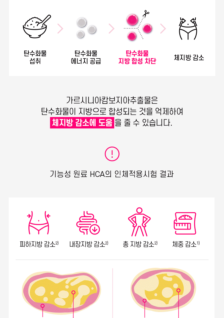 OY人氣熱賣🔥韓國知名保健食品大廠慶南製藥🇰🇷 Kalo 藤黃果綠茶阻斷脂肪碳水減脂錠套裝| Kalo KyungNam Pharm Kalo-Control Plus+ 💡