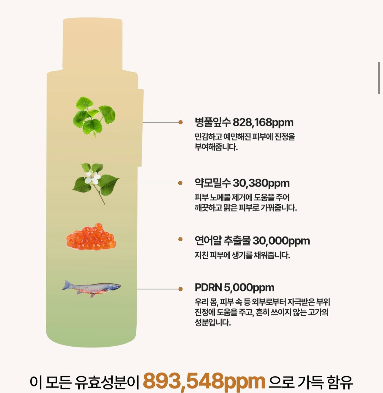 送精華13ml+泡泡瓶 ✨來自深海的修復力量💫 三文魚積雪草舒緩爽膚水🐠| Heveblue PDRN SALMON CARING CENTELLA TONER