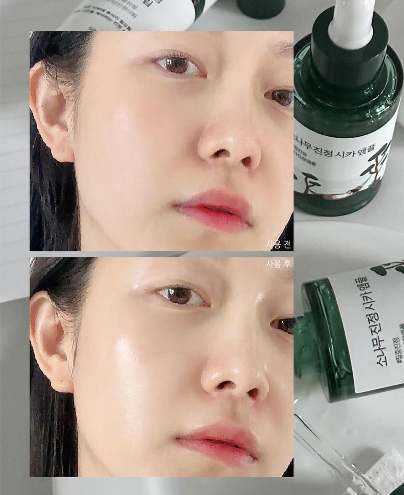 1+1套裝✨Round Lab松樹積雪草溫和修護舒緩精華🌲| Round Lab Pine Tree Ampoule💚