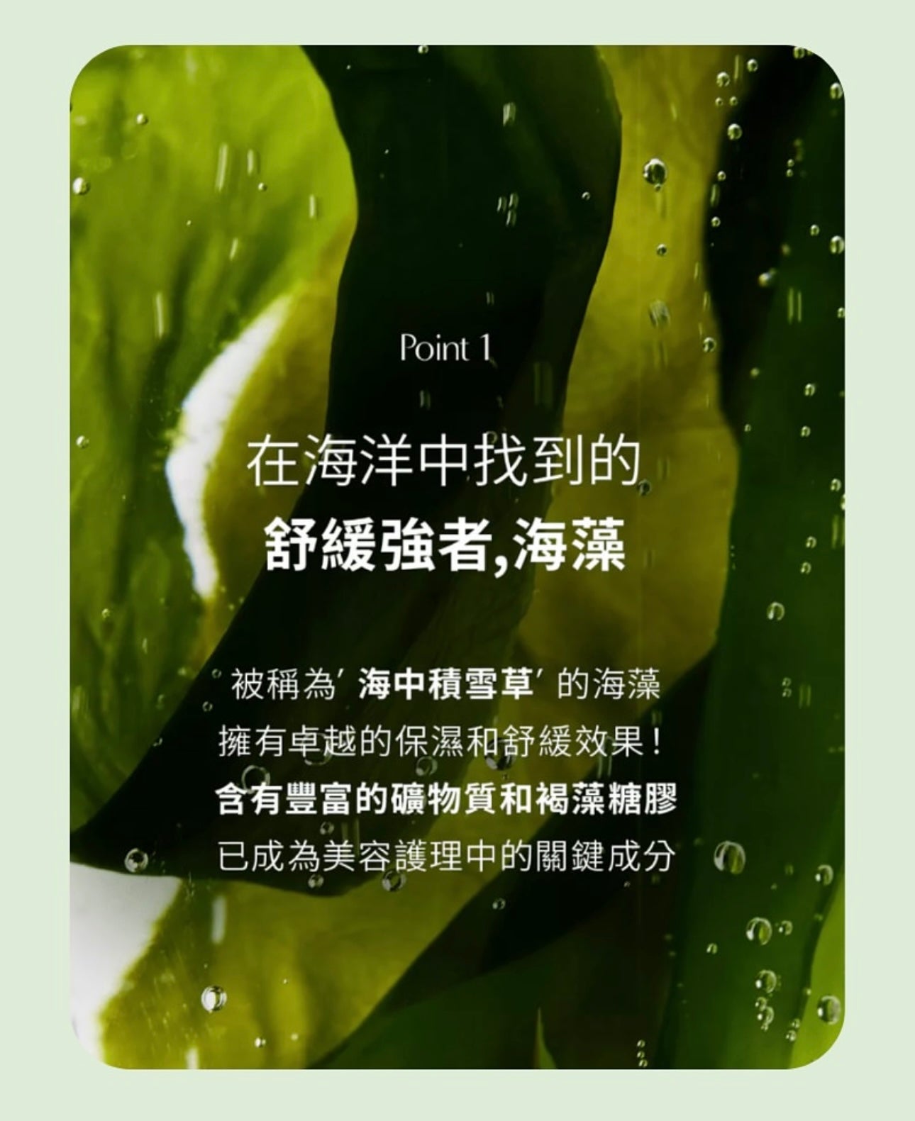 7+1限量套裝+送面膜✨舒緩控油🌿Biodance清爽海藻深層舒緩全效膠原面膜💚| Refreshing Sea Kelp Real Deep Mask