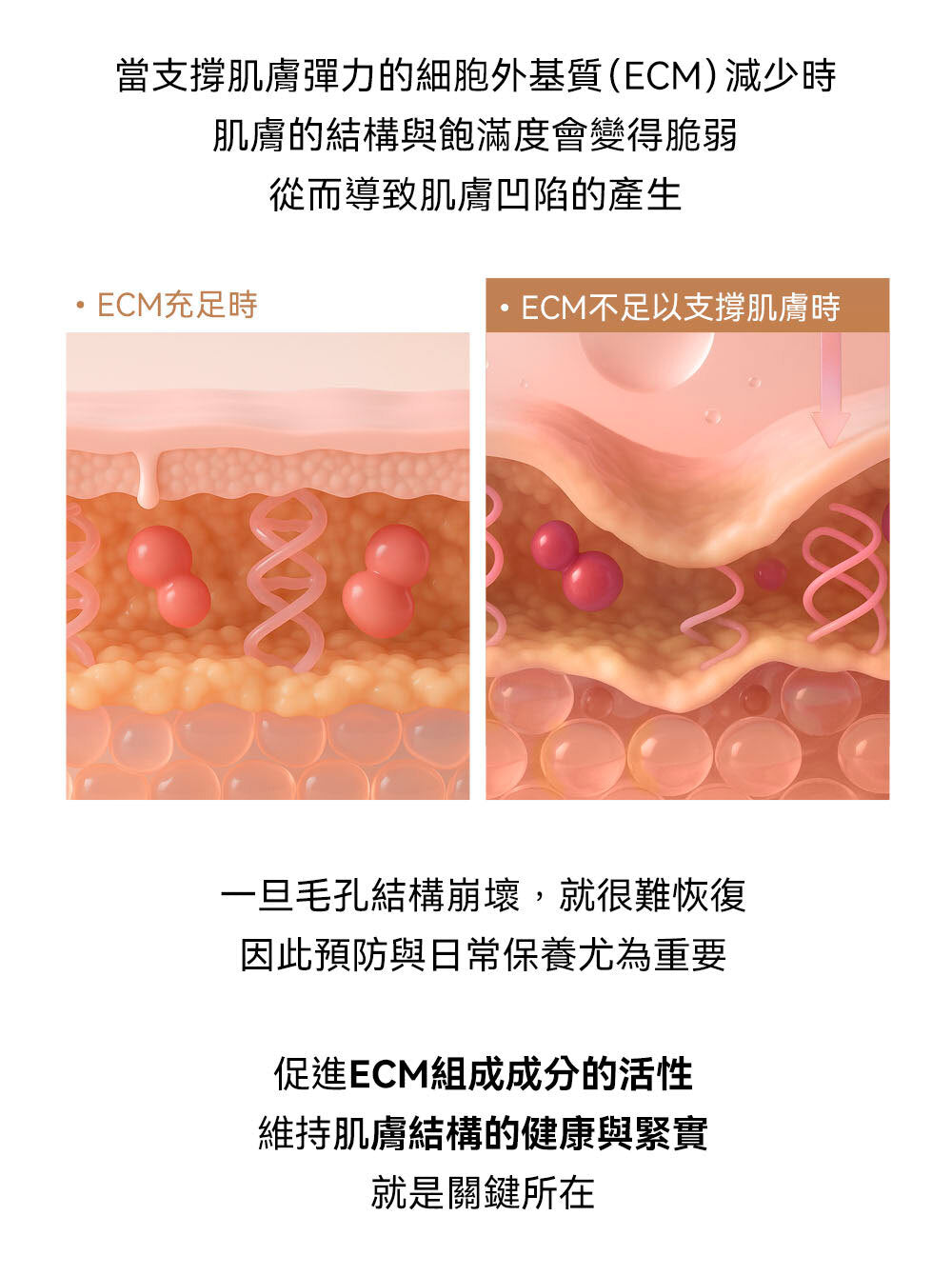 高濃度 NMN 配方💫| Sungboon Editor 綠蕃茄NMN立體塑顏毛孔精華🌿🍅升級版✨