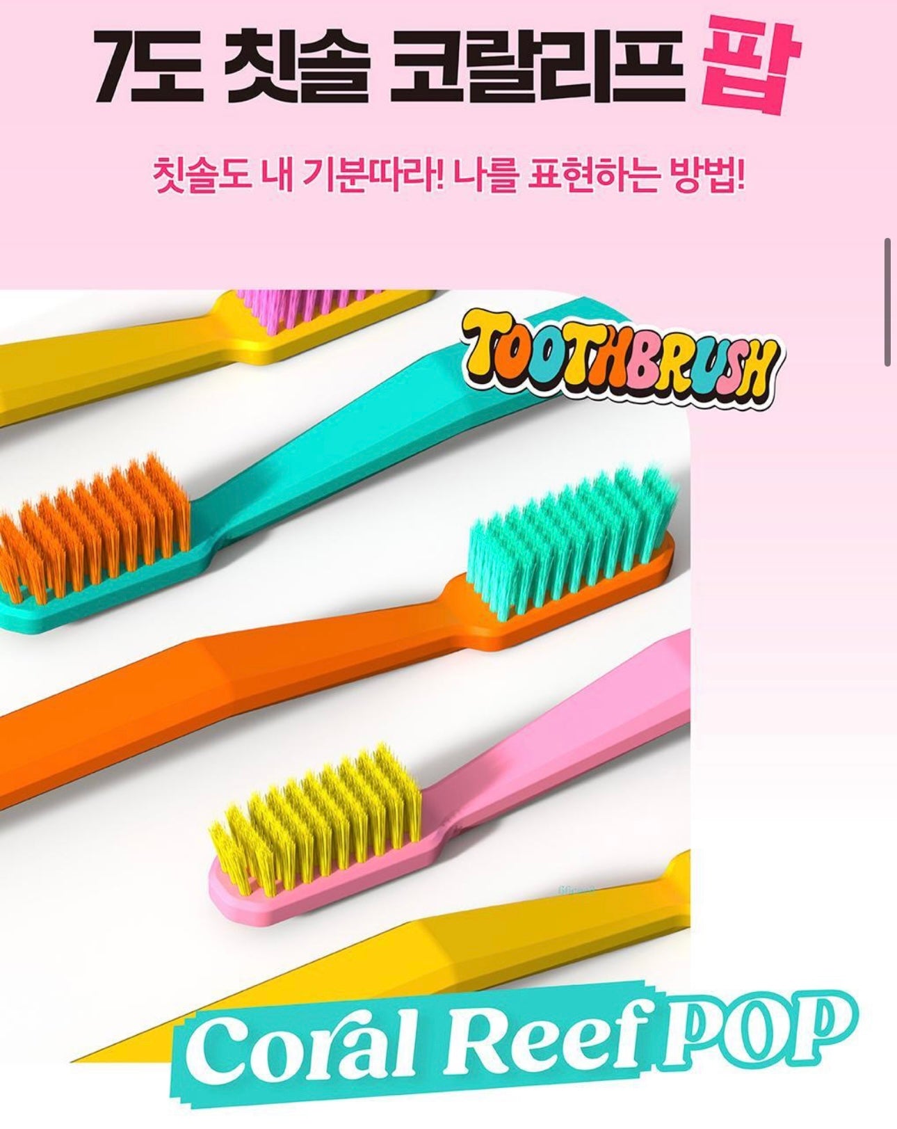 送Quokka小袋🤎 | Recipello x Dinotaeng特別版珊瑚礁牙刷🦷