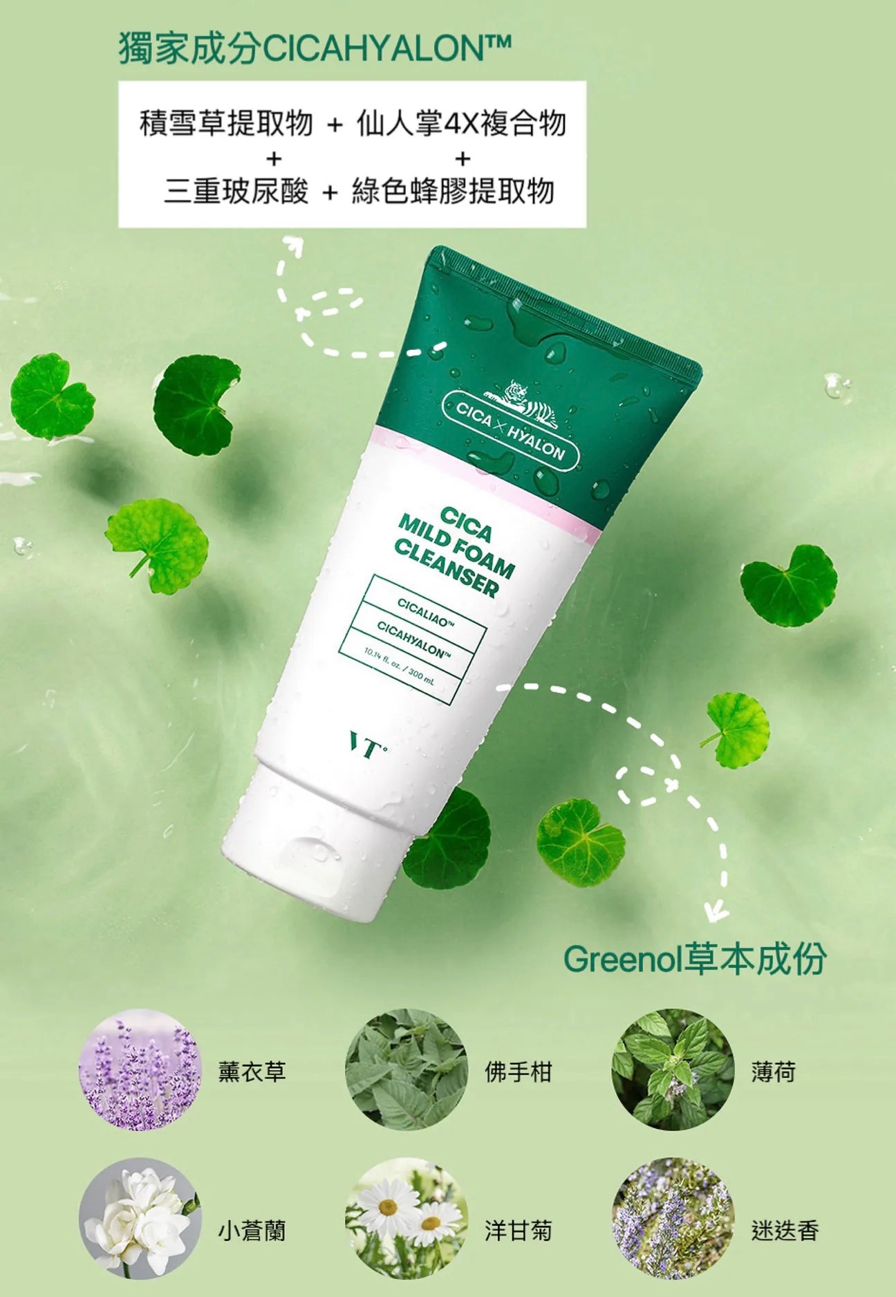 推薦痘痘肌敏感肌膚⭐️VT積雪草溫和防敏泡沫潔面乳🌿| CICA MILD FOAM CLEANSER