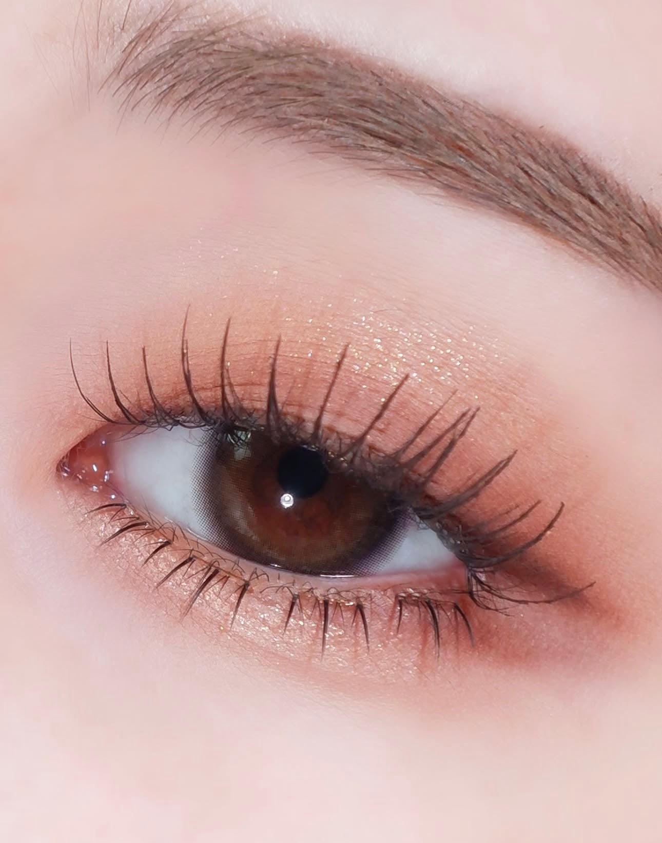 送下睫毛20pcs+睫毛營養液5ml ✨Coringco免膠水輕盈睫毛套裝💫