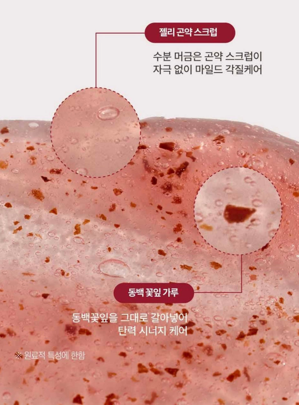 送心型果凍海綿✨ROUND LAB 紅山茶& 松樹積雪草清潔面膜組✨