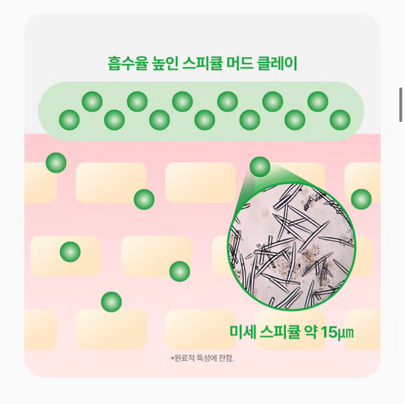 SUNGBOON EDITOR 綠番茄緊致毛孔深層清潔保濕泥膜🍅💚 | Green Tomato Pore Purifying Wash-off Mask