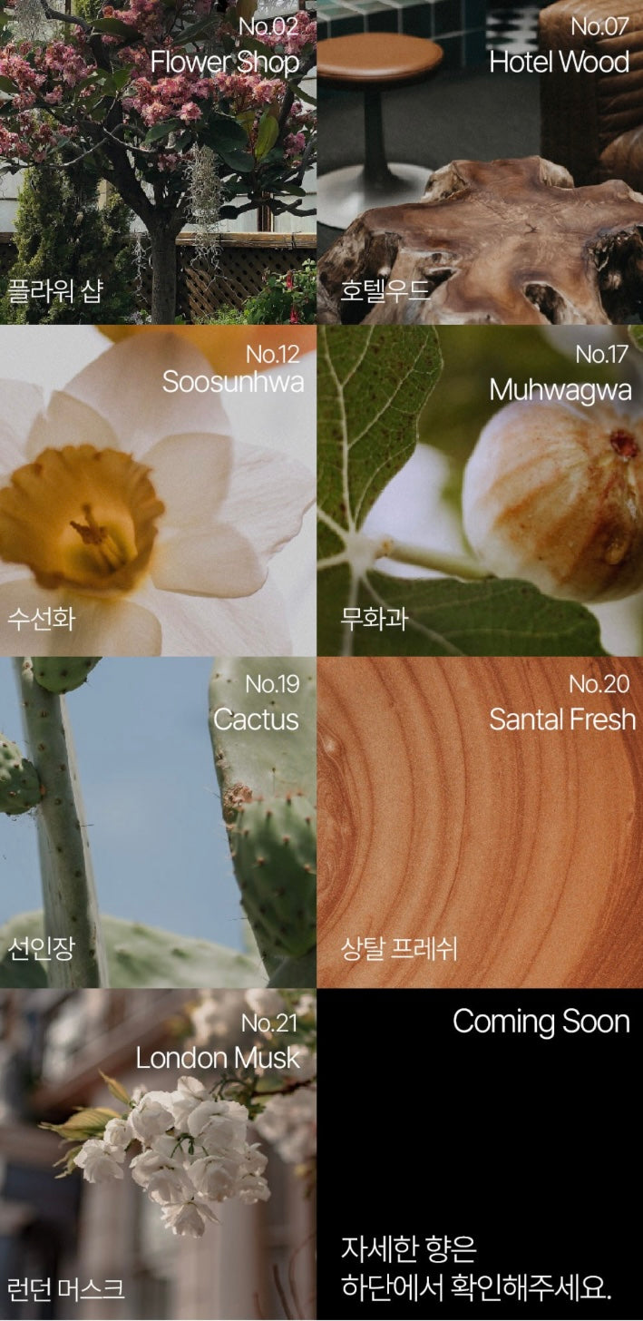 巨量裝✨Hetras 香氛療癒記憶身體乳💫