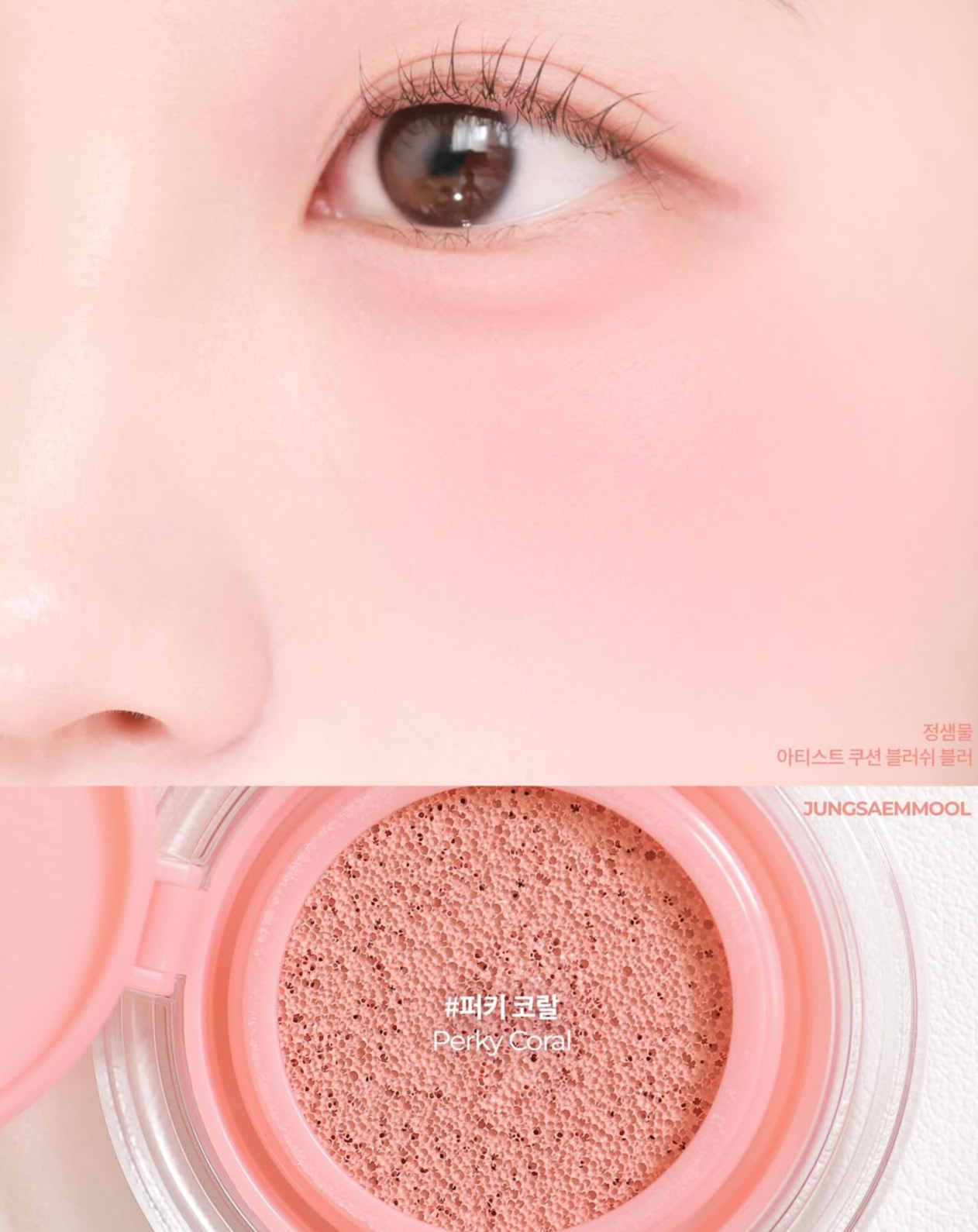 爆款單品💖JUNG SAEM MOOL鄭瑄茉水彩畫家氣墊腮紅 Artist Cushion Blush | 韓系清透水彩妝必備🎨