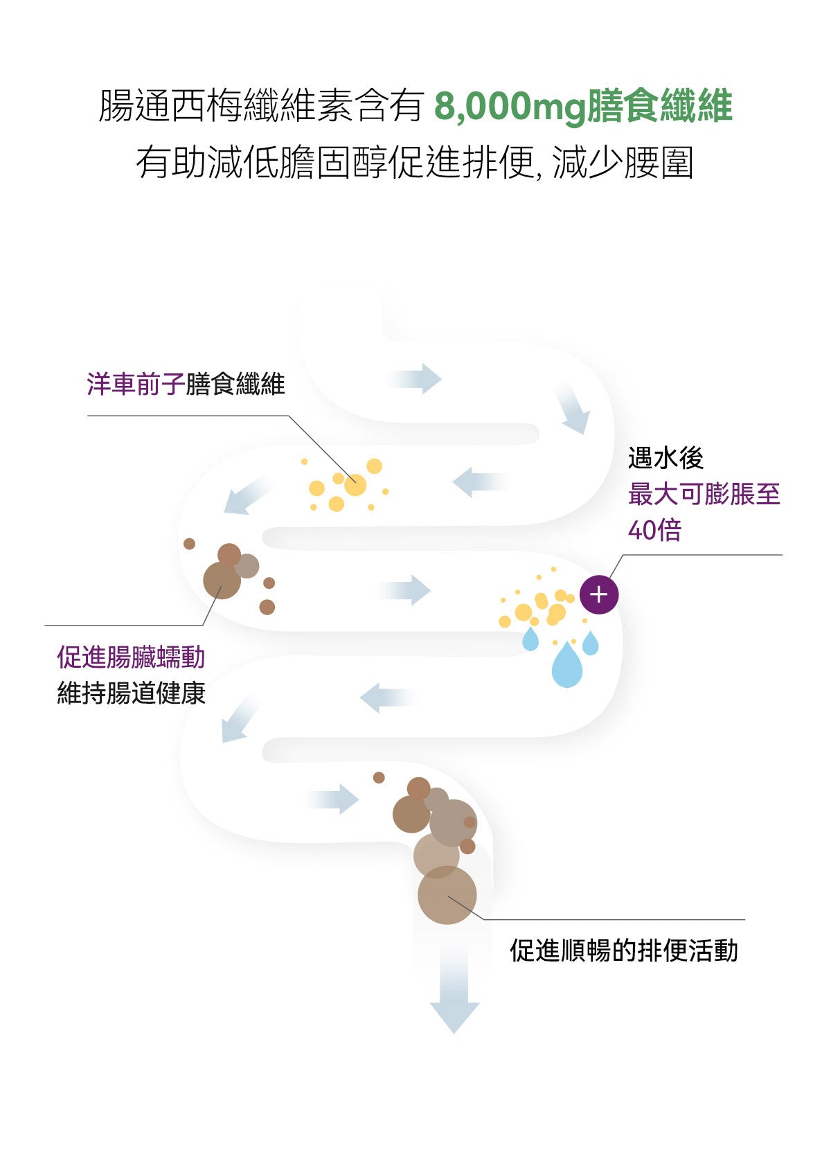 Glam d Psyllium husk and Prune complex腸通西梅纖維素